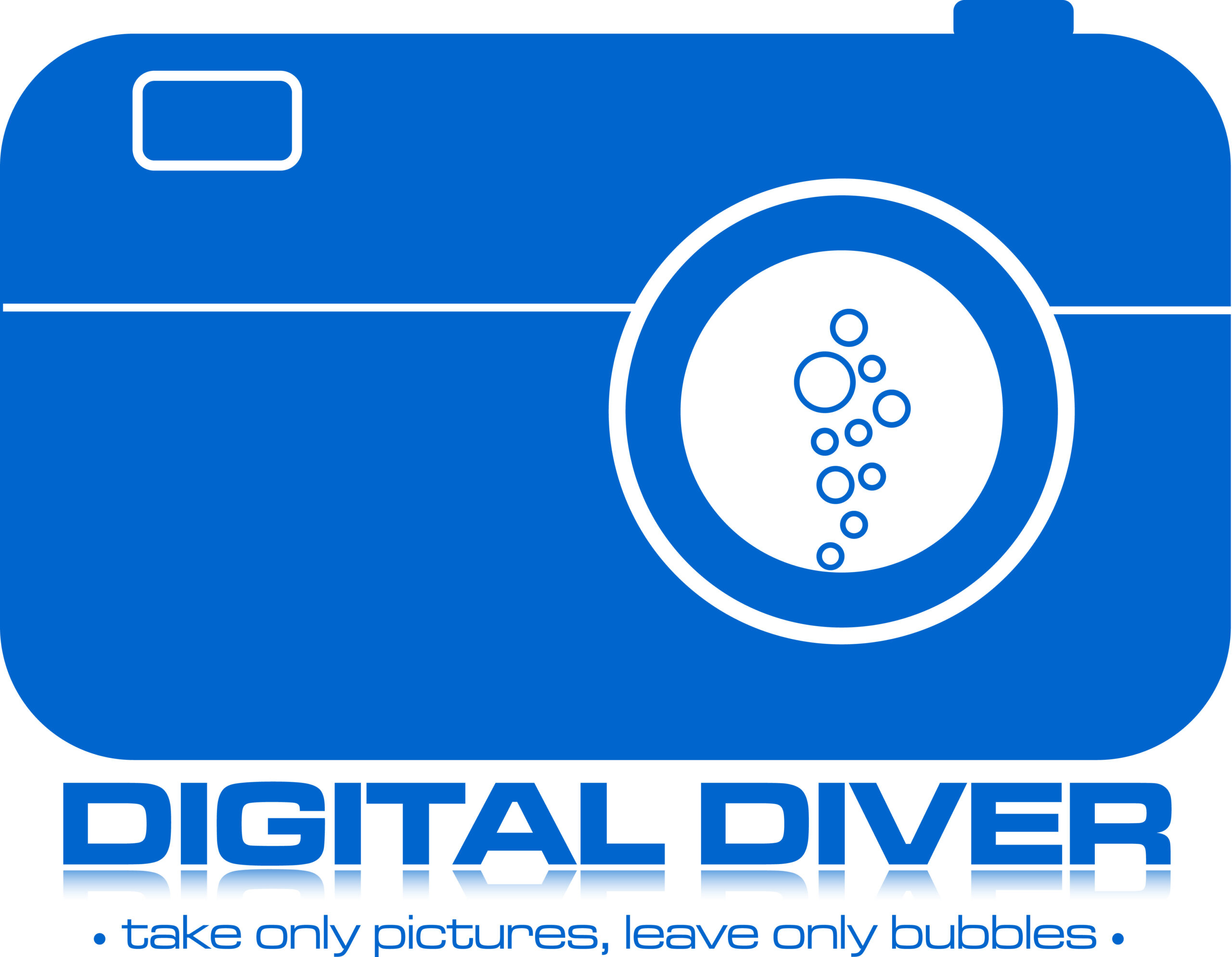 Digital Diver Logo Design